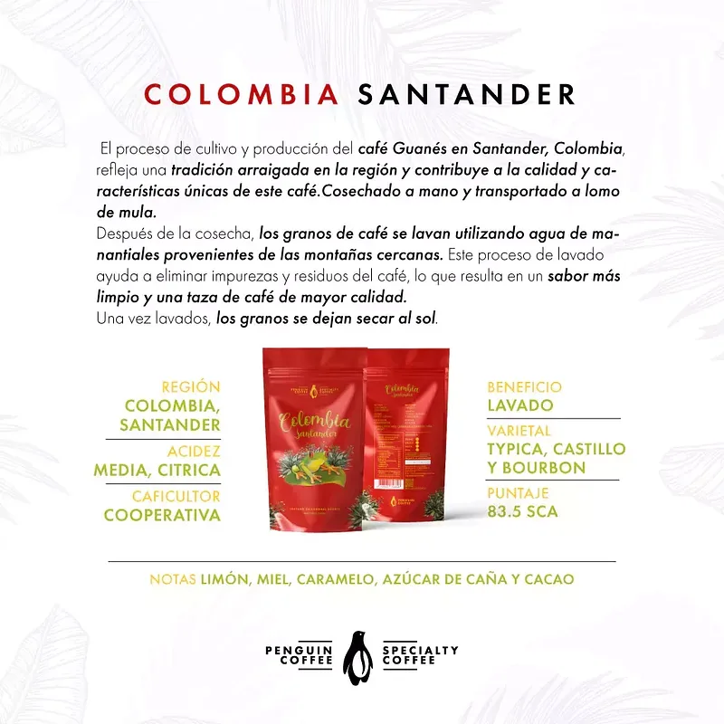 Cafe Colombia Santander x 250 gr (Penguin Coffee)
